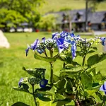 Le Domaine D'angerville - Le 4* Dozulé