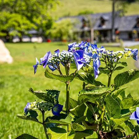 Le Domaine D’angerville - Le 4* Dozulé