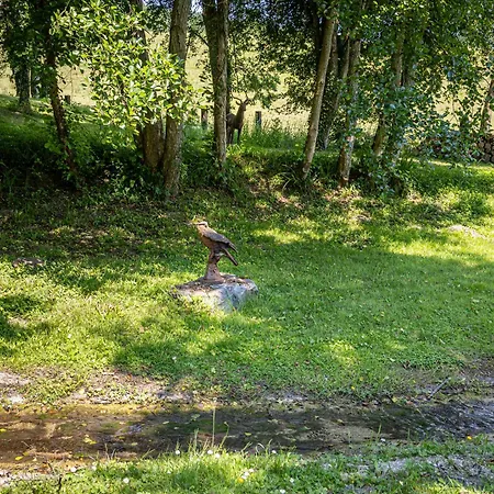 B&B Le Domaine D'angerville - Le