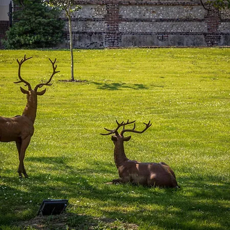 Le Domaine D’angerville - Le Couette-café 4*