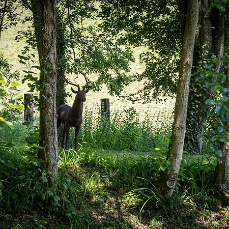 Le Domaine D’angerville - Le Couette-café 4*