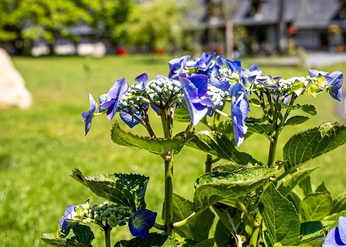 Le Domaine D’angerville - Le 4* Dozulé