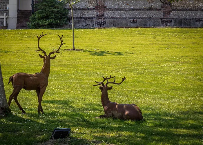 Le Domaine D'angerville - Le Bed & Breakfast 4*