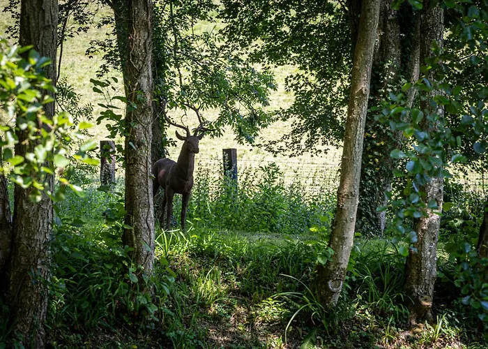 Le Domaine D’angerville - Le Couette-café 4*